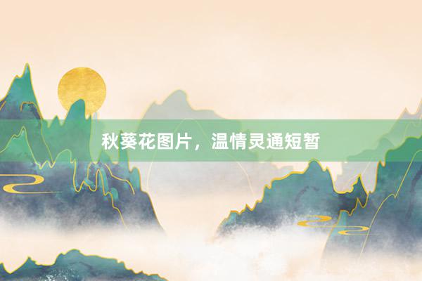 秋葵花图片，温情灵通短暂